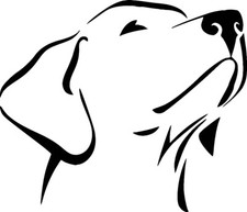 Labrador Retriever VINYL