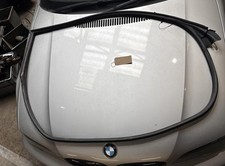 BMW 3 Series E46 Coupe RIGHT Drivers Side RHD Door Seal Black 51717161688