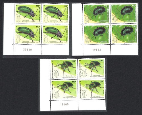 Leaf beetles insects - leaf,