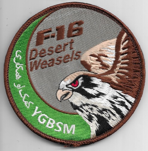 Usaf patch 480 efs - usaf,