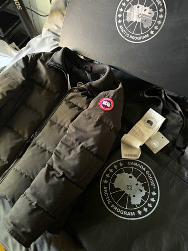 Canada goose crofton arctic - goose,