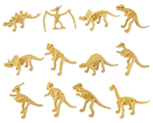 Pieces dinosaur fossils for - pieces,