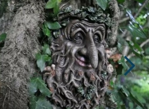 Tree ent face wall - tree, plaque
