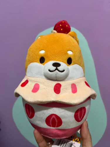Cute shiba inu puppy - shiba,