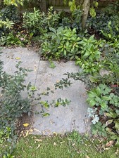 18 Black Limestone Paving Slabs 900 x 600 x 22mm 