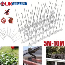 10m bird spikes - bird, pigeon