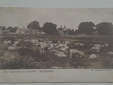 1903 Vintage Postcard. Harpenden Common. Bishops Stortford Postmark.