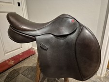 ASS / AVA GP Saddle - 17 Inch Medium Wide - Havana
