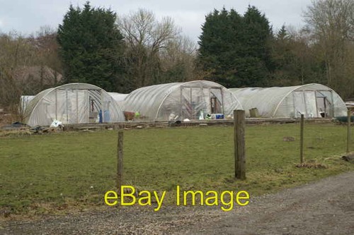 Photo 6x4 polytunnels - polytunnels, green