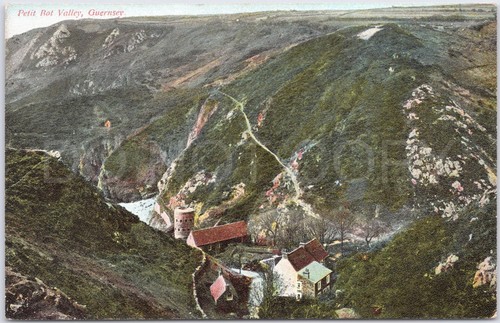 Forest vintage postcard petit - postcard,