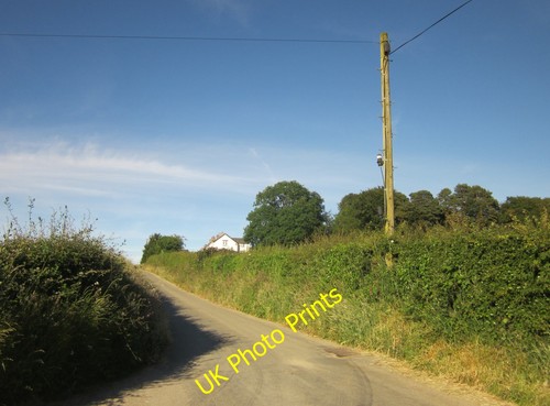 Photo 6x4 lane - lane, near
