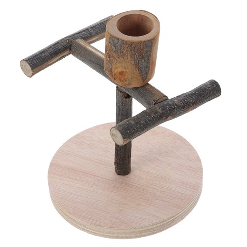 Coffee wood parrot training - coffee,