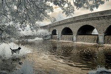 Nikon D90 Full Spectrum converted camera. Infrared, Full spectrum IR camera.