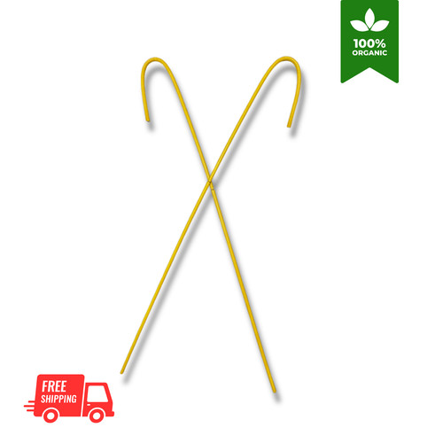 1pcs cane rattan - cane, scholastic
