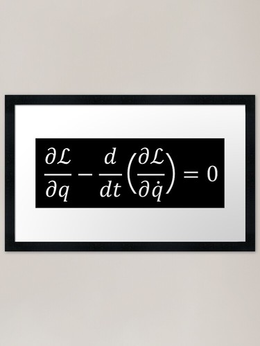 Euler lagrange equation framed - euler,