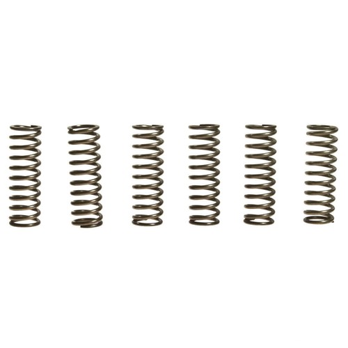 Ebc clutch springs - springs, +10