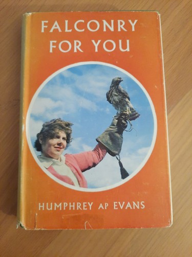 Falconry for you humphrey - falconry, by