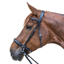 STAR Bitless Bridle