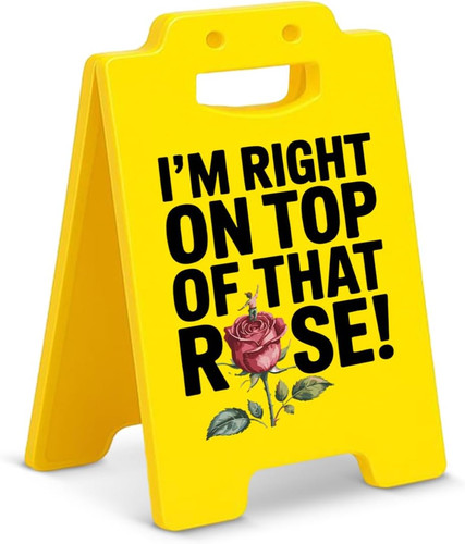 Funny office desk decor sign - funny,