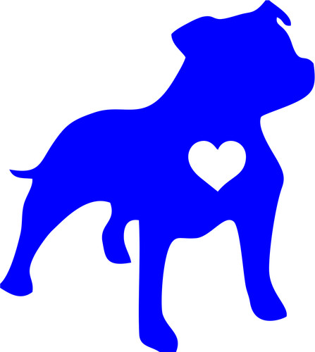 Staffordshire bull terrier dog - staffordshire,