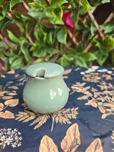 Vintage rustic 1960s denby - ,