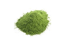 Stevia Powder Dried Leaf