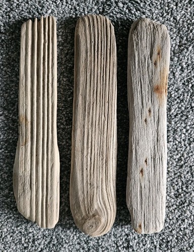 5cm 19 - 18.5cm,, &