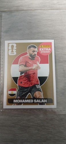Panini fifa world - panini,