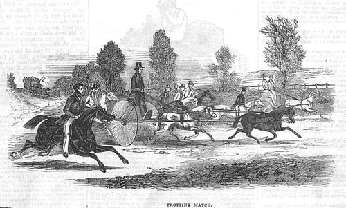 Equestrian trotting match - a,