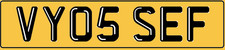 Yosef cherished registration - yosef,