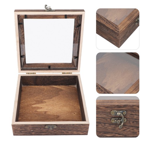 Butterfly box specimen display - butterfly,