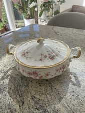 Paragon Victoriana Rose