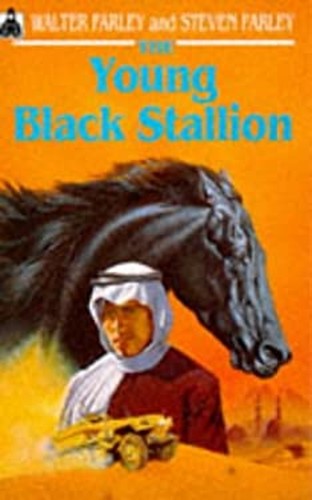 The young black - young, stallion