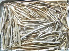 100 Driftwood Twig Pieces For