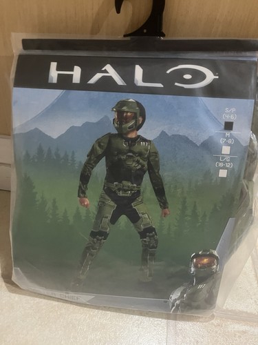 Disguise halo master - master, chief