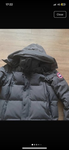Canada goose arctic program - arctic,