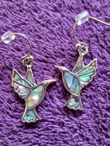 Delicate abalone shell - abalone,