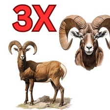 3x sticker mouflon car sticker