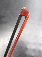 Professional Brazil  Ebony