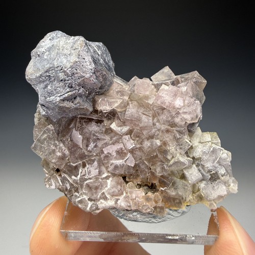 Galena fluorite alston moor - galena,, fluorite,