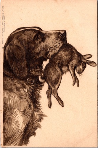 Hunting dogs carrying - dogs, rabbits
