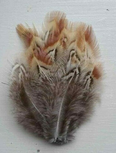 Fly tying native crafts - /,