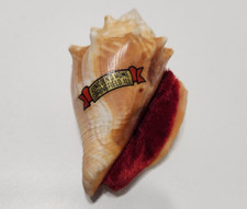 Vintage Primitive Shell Velvet Pin Cushion Lincoln's Home Springfield ILL