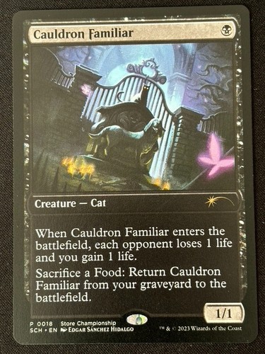 Mtg cauldron familiar - 1x,