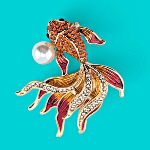 Little fantail goldfish - little,