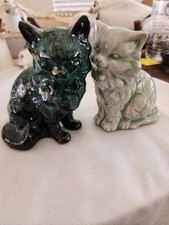 CELADON GREEN PERSIAN CAT