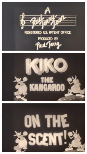 Kiko the kangaroo on - kiko,