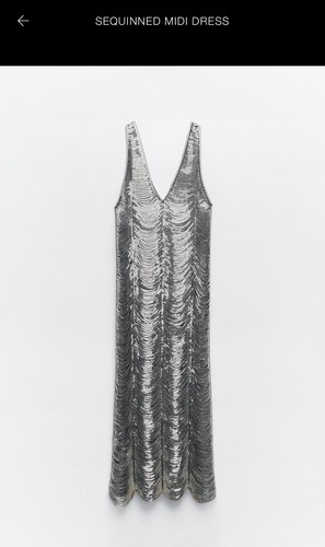 110 zara sequinned midi - £110,