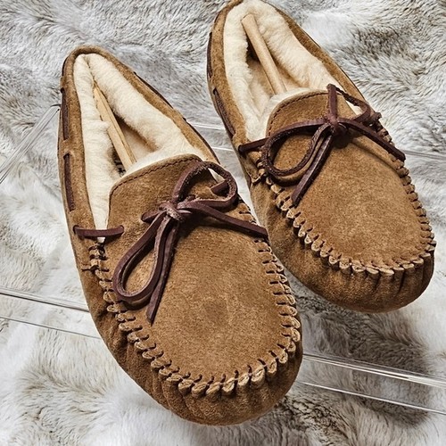 Nib ugg womens - nib,