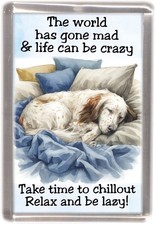 English Setter Dog Fridge